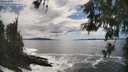 ./images/koeye/fitz-hugh/20260525/fitz-hugh20260525_161002M.jpg