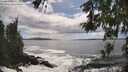 ./images/koeye/fitz-hugh/20260525/fitz-hugh20260525_162001M.jpg