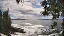 ./images/koeye/fitz-hugh/20260525/fitz-hugh20260525_162502M.jpg