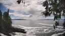 ./images/koeye/fitz-hugh/20260525/fitz-hugh20260525_163001M.jpg