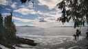 ./images/koeye/fitz-hugh/20260525/fitz-hugh20260525_164001M.jpg