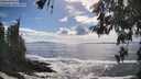 ./images/koeye/fitz-hugh/20260525/fitz-hugh20260525_164501M.jpg