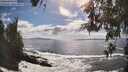 ./images/koeye/fitz-hugh/20260525/fitz-hugh20260525_165501M.jpg