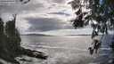 ./images/koeye/fitz-hugh/20260525/fitz-hugh20260525_172001M.jpg