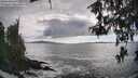 ./images/koeye/fitz-hugh/20260525/fitz-hugh20260525_172501M.jpg