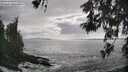 ./images/koeye/fitz-hugh/20260525/fitz-hugh20260525_173501M.jpg
