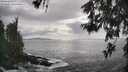 ./images/koeye/fitz-hugh/20260525/fitz-hugh20260525_174001M.jpg