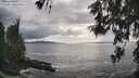 ./images/koeye/fitz-hugh/20260525/fitz-hugh20260525_175002M.jpg