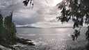 ./images/koeye/fitz-hugh/20260525/fitz-hugh20260525_175501M.jpg
