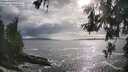 ./images/koeye/fitz-hugh/20260525/fitz-hugh20260525_180001M.jpg