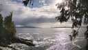 ./images/koeye/fitz-hugh/20260525/fitz-hugh20260525_180501M.jpg