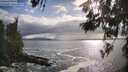 ./images/koeye/fitz-hugh/20260525/fitz-hugh20260525_182001M.jpg