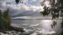 ./images/koeye/fitz-hugh/20260525/fitz-hugh20260525_182501M.jpg