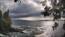 ./images/koeye/fitz-hugh/20260525/fitz-hugh20260525_183001M.jpg