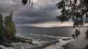 ./images/koeye/fitz-hugh/20260525/fitz-hugh20260525_183501M.jpg
