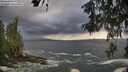 ./images/koeye/fitz-hugh/20260525/fitz-hugh20260525_184502M.jpg