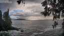 ./images/koeye/fitz-hugh/20260525/fitz-hugh20260525_194501M.jpg