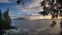 ./images/koeye/fitz-hugh/20260525/fitz-hugh20260525_202501M.jpg