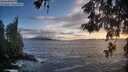./images/koeye/fitz-hugh/20260525/fitz-hugh20260525_203001M.jpg