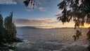 ./images/koeye/fitz-hugh/20260525/fitz-hugh20260525_205002M.jpg