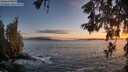 ./images/koeye/fitz-hugh/20260525/fitz-hugh20260525_212001M.jpg