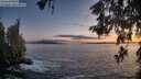 ./images/koeye/fitz-hugh/20260525/fitz-hugh20260525_214002M.jpg