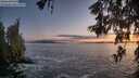 ./images/koeye/fitz-hugh/20260525/fitz-hugh20260525_214501M.jpg