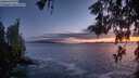 ./images/koeye/fitz-hugh/20260525/fitz-hugh20260525_220501M.jpg