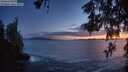 ./images/koeye/fitz-hugh/20260525/fitz-hugh20260525_221502M.jpg