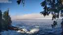 ./images/koeye/fitz-hugh/20260526/fitz-hugh20260526_080501M.jpg