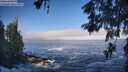 ./images/koeye/fitz-hugh/20260526/fitz-hugh20260526_081001M.jpg