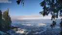 ./images/koeye/fitz-hugh/20260526/fitz-hugh20260526_081501M.jpg