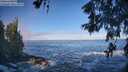 ./images/koeye/fitz-hugh/20260526/fitz-hugh20260526_082001M.jpg