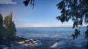 ./images/koeye/fitz-hugh/20260526/fitz-hugh20260526_082502M.jpg