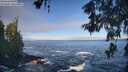 ./images/koeye/fitz-hugh/20260526/fitz-hugh20260526_083002M.jpg