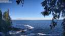 ./images/koeye/fitz-hugh/20260526/fitz-hugh20260526_085501M.jpg