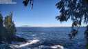 ./images/koeye/fitz-hugh/20260526/fitz-hugh20260526_091002M.jpg