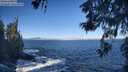 ./images/koeye/fitz-hugh/20260526/fitz-hugh20260526_092001M.jpg