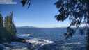 ./images/koeye/fitz-hugh/20260526/fitz-hugh20260526_094501M.jpg