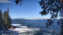 ./images/koeye/fitz-hugh/20260526/fitz-hugh20260526_102002M.jpg