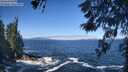 ./images/koeye/fitz-hugh/20260526/fitz-hugh20260526_103001M.jpg
