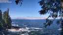 ./images/koeye/fitz-hugh/20260526/fitz-hugh20260526_104501M.jpg