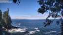 ./images/koeye/fitz-hugh/20260526/fitz-hugh20260526_110002M.jpg