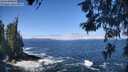 ./images/koeye/fitz-hugh/20260526/fitz-hugh20260526_112002M.jpg
