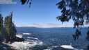 ./images/koeye/fitz-hugh/20260526/fitz-hugh20260526_112501M.jpg