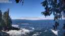 ./images/koeye/fitz-hugh/20260526/fitz-hugh20260526_113001M.jpg