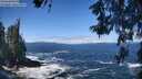 ./images/koeye/fitz-hugh/20260526/fitz-hugh20260526_113501M.jpg