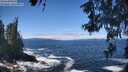 ./images/koeye/fitz-hugh/20260526/fitz-hugh20260526_121002M.jpg