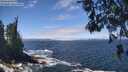 ./images/koeye/fitz-hugh/20260526/fitz-hugh20260526_123501M.jpg