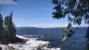 ./images/koeye/fitz-hugh/20260526/fitz-hugh20260526_124501M.jpg